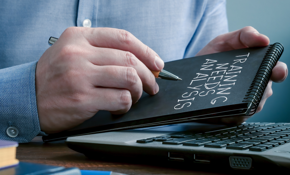 Backlink Analysis Tool Development