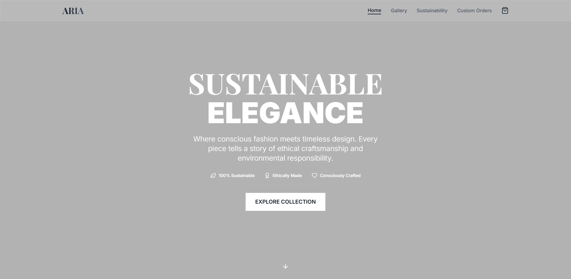 Fashion Designer Digital Showcase